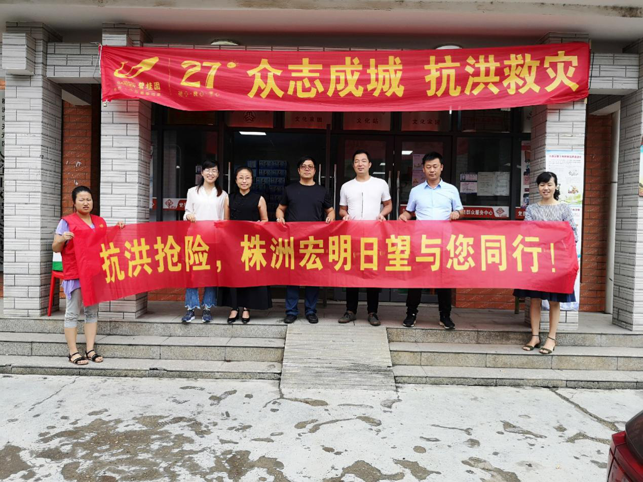 米兰平台,宏明日望,株洲电子科技,湖南电容器,株洲电容器,电容器