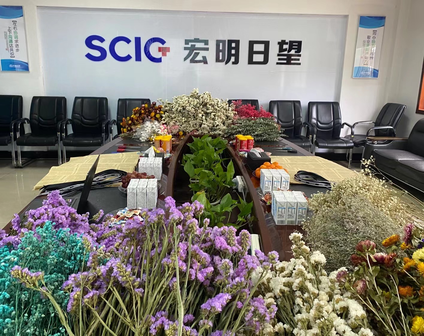 米兰平台,宏明日望,株洲电子科技,湖南电容器,株洲电容器,电容器