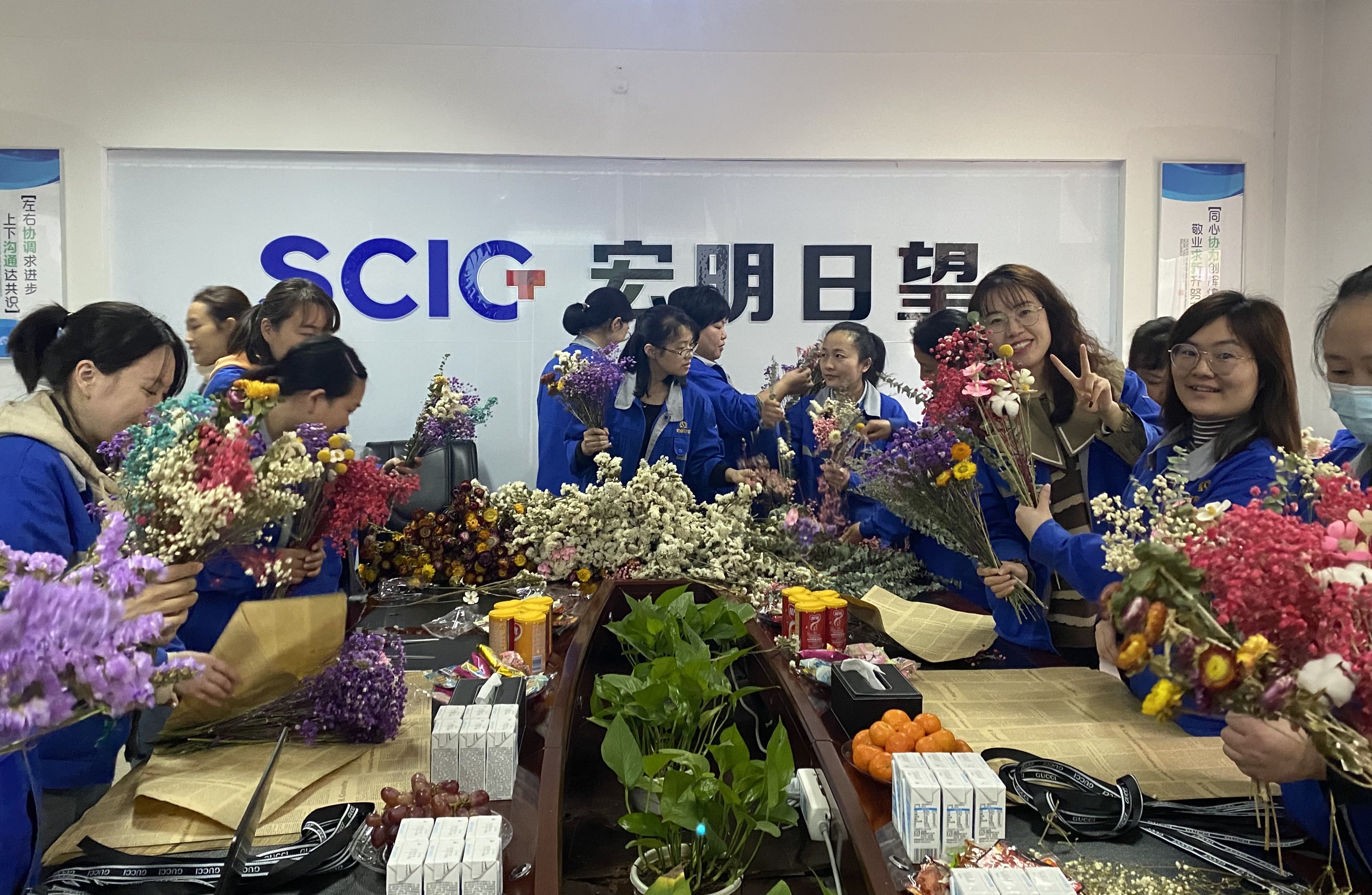 米兰平台,宏明日望,株洲电子科技,湖南电容器,株洲电容器,电容器